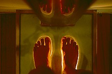 scales of the sole